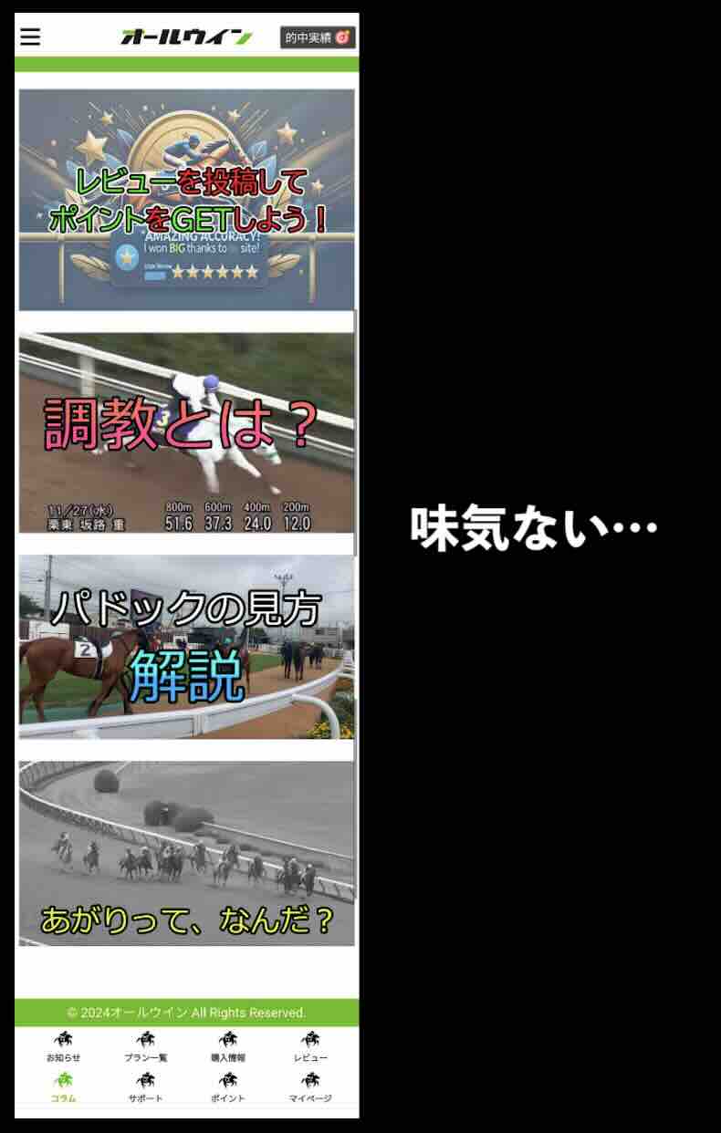 オールウィンという競馬予想サイトの会員ページ